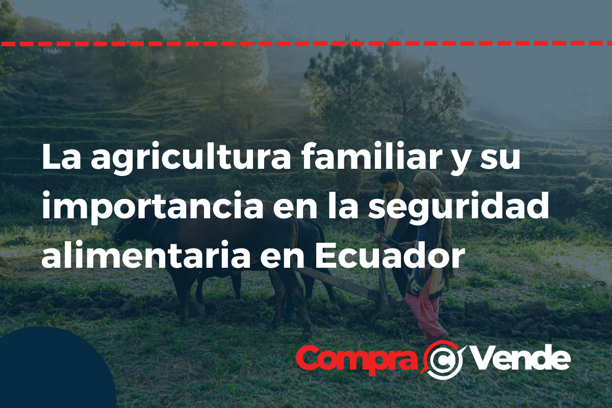 La agricultura familiar y su importancia en la seguridad alimentaria en Ecuador