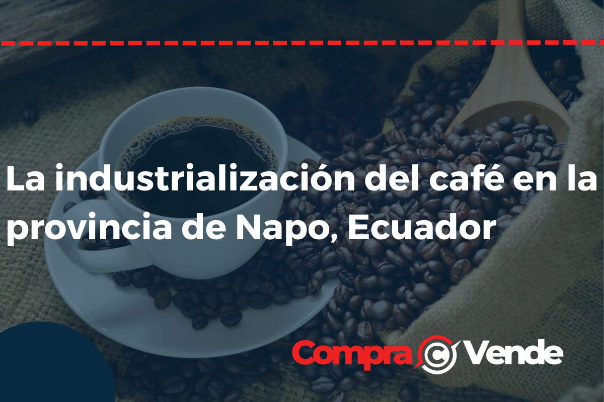 La industrialización del café en la provincia de Napo, Ecuador