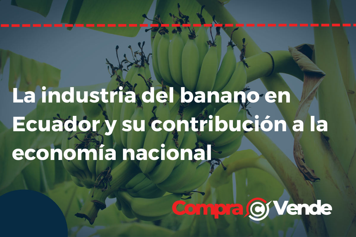 La industria del banano en Ecuador y su contribución a la economía nacional